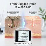Activated Charcoal Powder, Aloe Vera & Neem | Herbal Deep Cleansing Soap