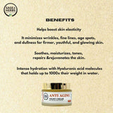 Anti-Aging Night Cream – Retinol & Q10 Overnight Repair 50g