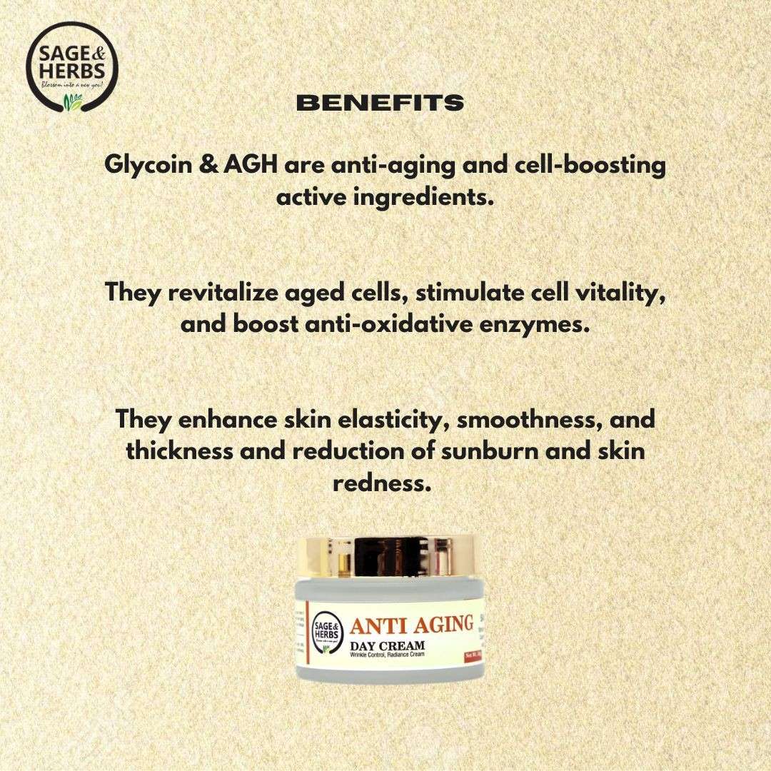 Anti-Aging Day Cream – Hydrating & Rejuvenating Skin Moisturizer 50g