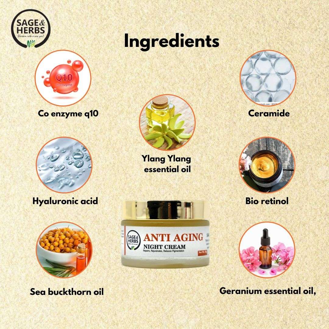 Anti-Aging Night Cream – Retinol & Q10 Overnight Repair 50g