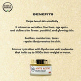 Anti-Aging Night Cream – Retinol & Q10 Overnight Repair 50g