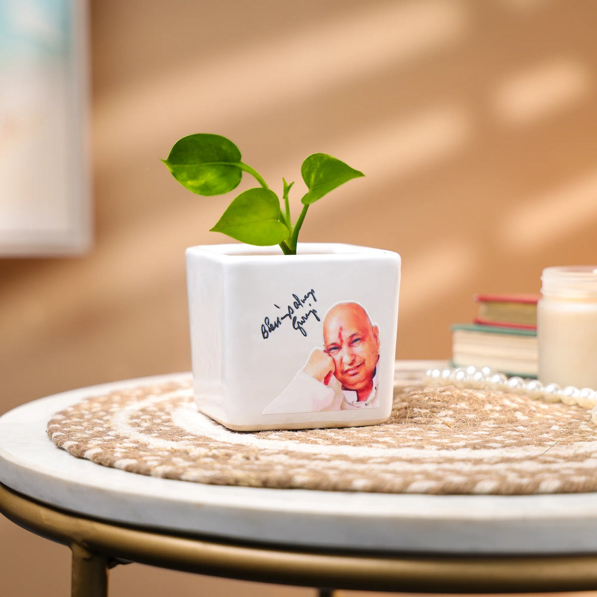 Money Plant in a Ceramic Pot - Indoor Prosperity & Air-Purifying Plant – view 7