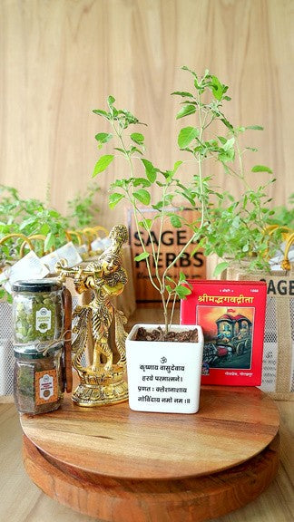 Divine Diwali Hamper