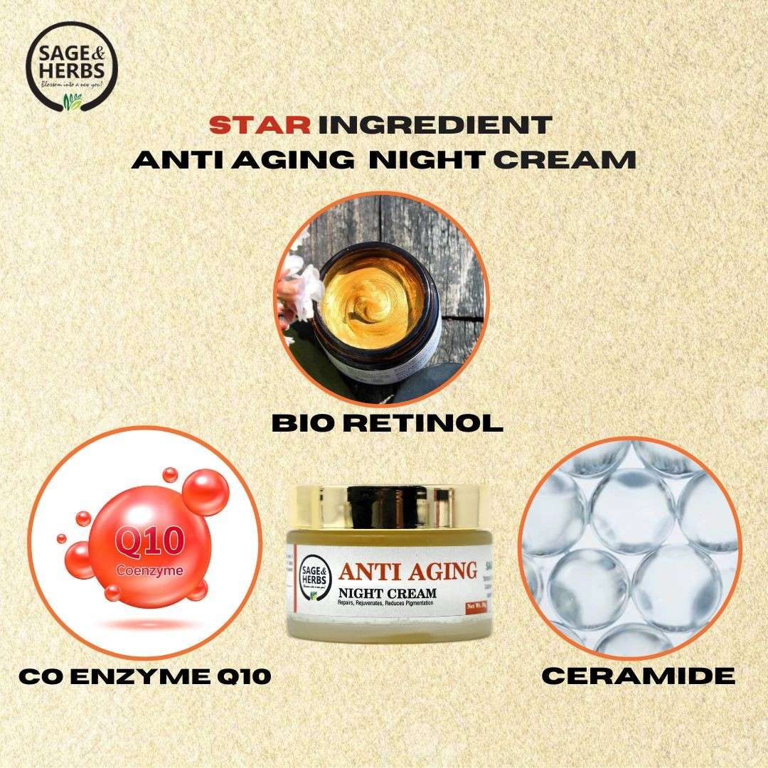 Anti-Aging Night Cream – Retinol & Q10 Overnight Repair 50g