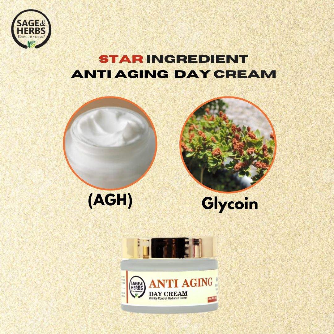 Anti-Aging Day Cream – Hydrating & Rejuvenating Skin Moisturizer 50g