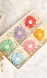 Scented Daisy Flower Box (Set of 6)